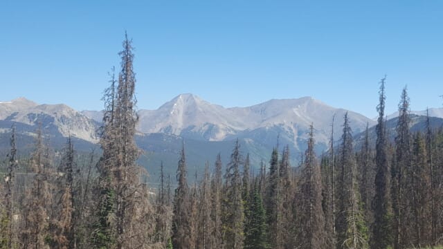View from Monarch Pass