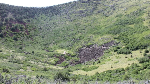 Looking into the crater
