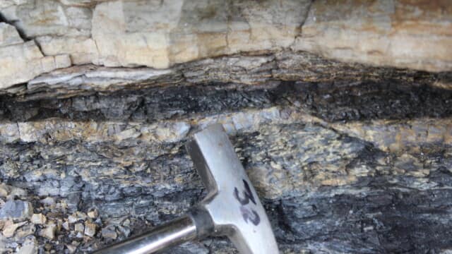 K/Pg Boundary sandstone layer sandwiched between two thin coal seams
