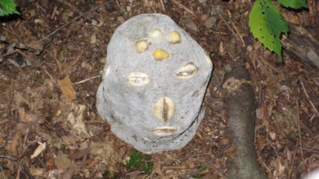 There are no words...