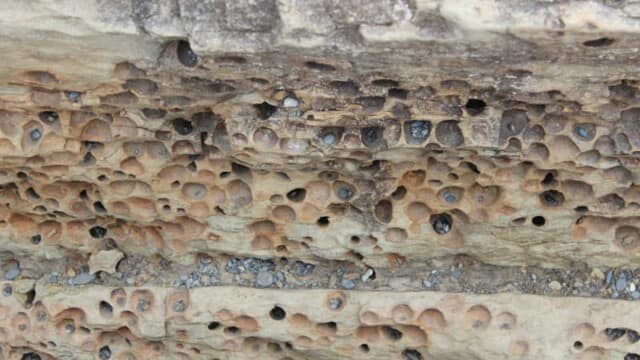 QuestIon: What created the holes in this rock?