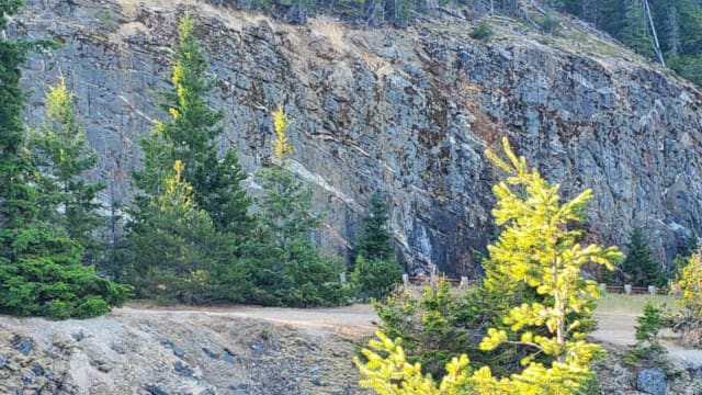 The dark colored bedrock is othogneiss, the light bands are feldspar-quartz dikes, and the red band is iron oxide.
