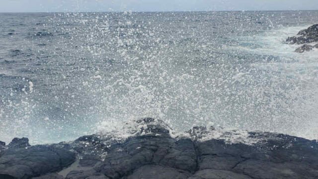 The spray was hypnotic!