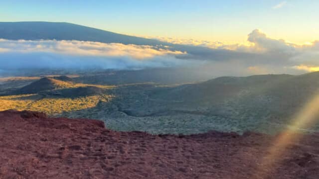 I love the contrast between the red rocks and the green vegetation