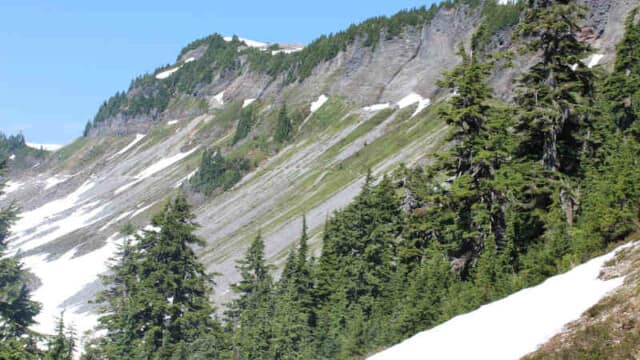 The trail towards Mt. Baker
